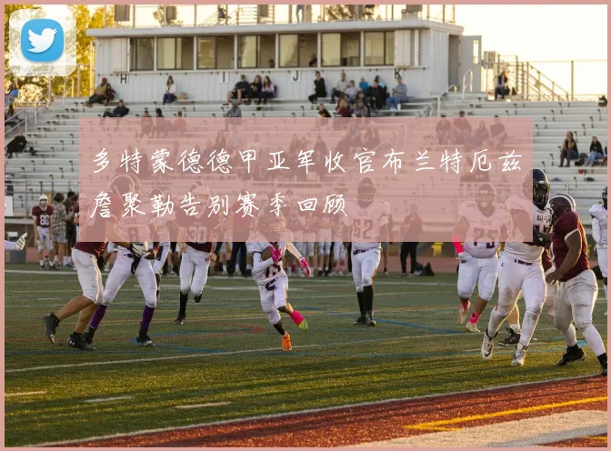 多特蒙德德甲亚军收官布兰特厄兹詹聚勒告别赛季回顾
